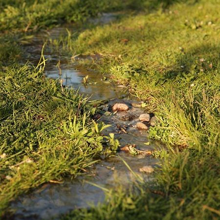 Grosse Wohnung / Haushaelfte In Peetzig Am See Angermunde Dış mekan fotoğraf