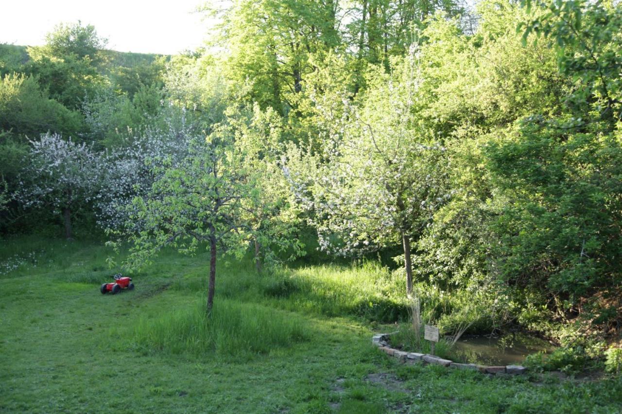 Grosse Wohnung / Haushaelfte In Peetzig Am See Angermunde Dış mekan fotoğraf